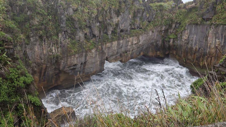 Blowhole not blowing