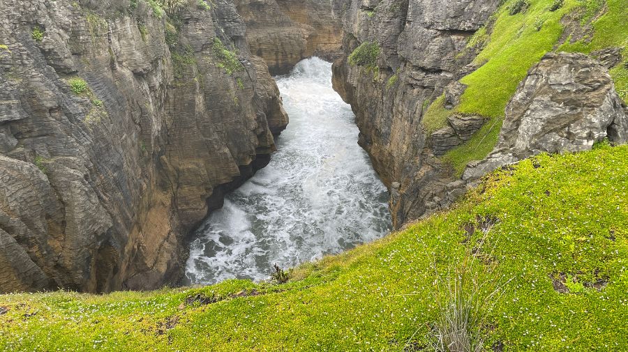 Blowhole resting (2)