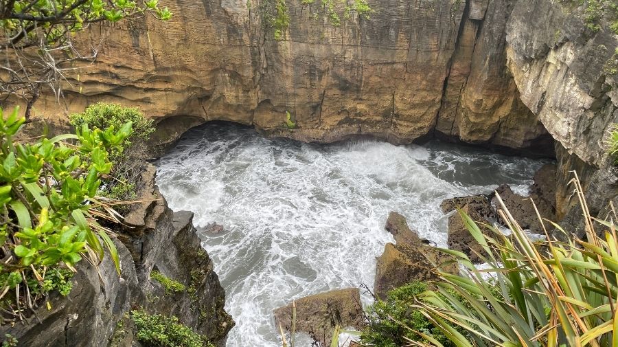Blowhole resting